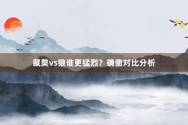 藏獒vs狼谁更猛烈?确凿对比分析